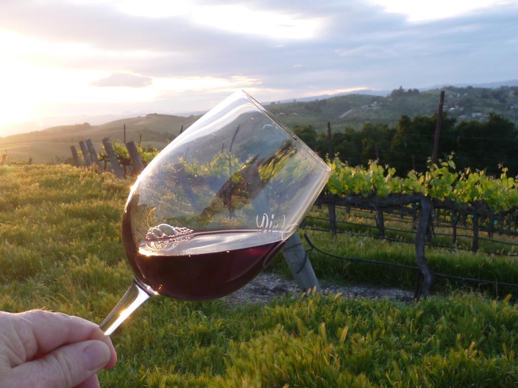 Hotel The Eden House Vineyard Templeton Esterno foto