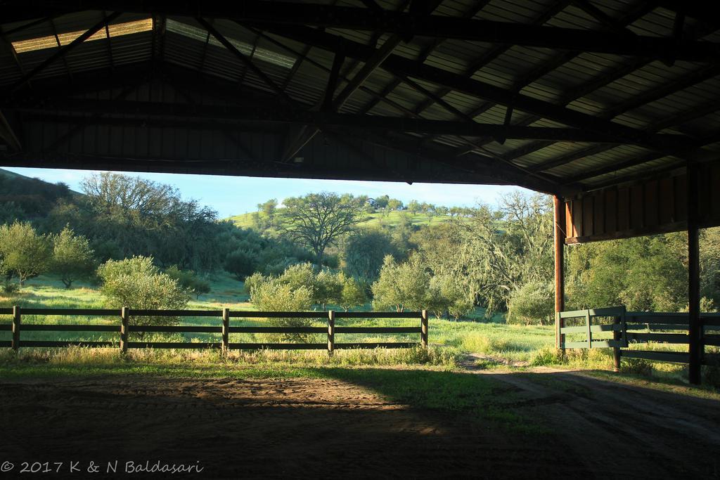 Hotel The Eden House Vineyard Templeton Esterno foto
